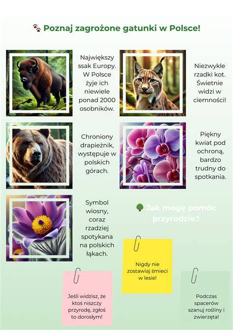 kreskowe infografiki o składnikach naturalnych